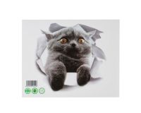 Наклейка 3Д интерьерная Кошка 25*23см