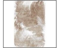 Ковер 100*200см 23С19-ВИ fy5830/a5/san