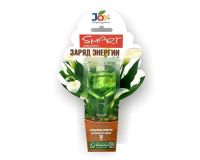 Стимулятор для комнатных цветов Заряд энергии 30 мл 2ампулы JOY
