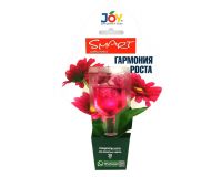 Стимулятор роста для комнатных цветов Гармония роста 30 мл*2ампулы JOY