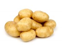 Картофель семенной Гала